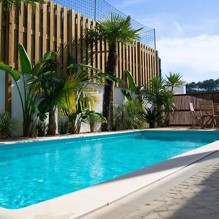 Andorinha - By Sch Villa Foz do Arelho